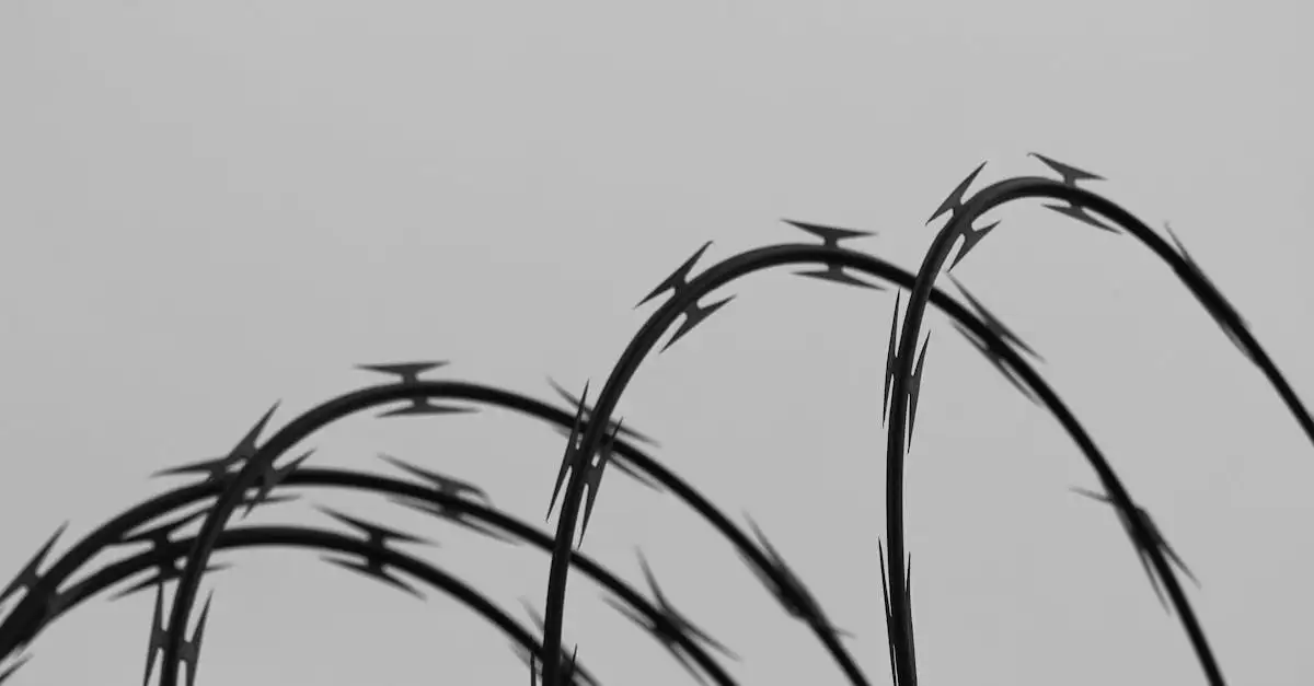 Kans op zwangerschap met spiraal: wat zijn de risico's?